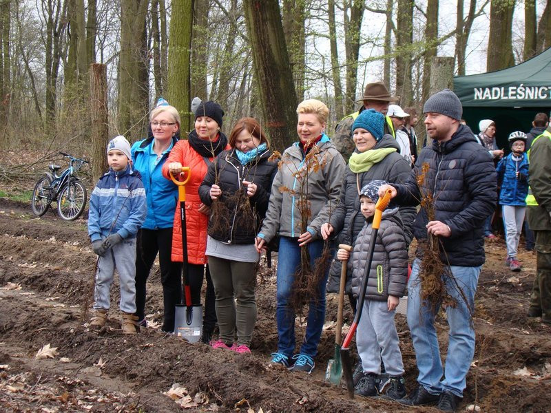 Wielkie sadzenie lasu (zdjęcia)