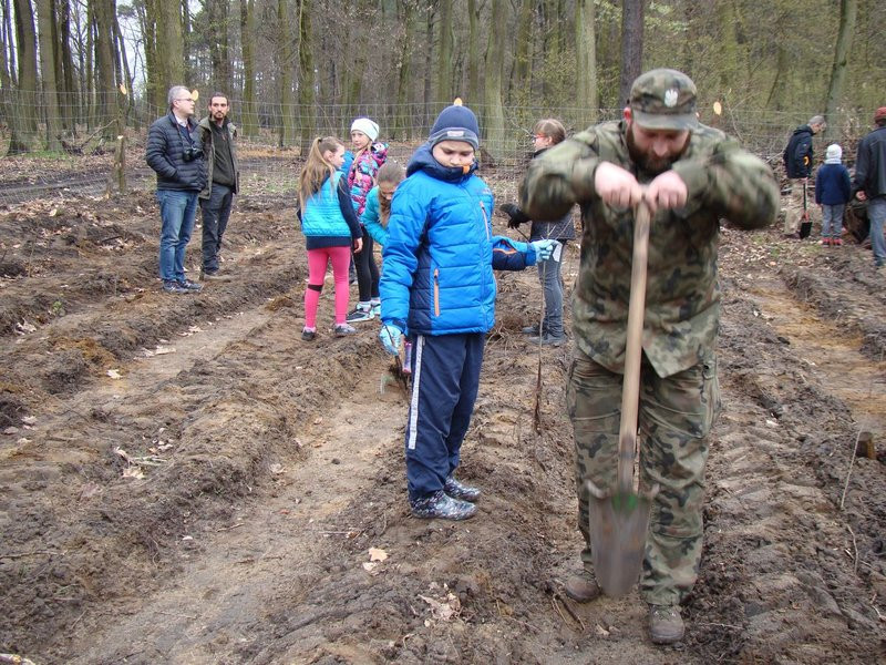 Wielkie sadzenie lasu (zdjęcia)