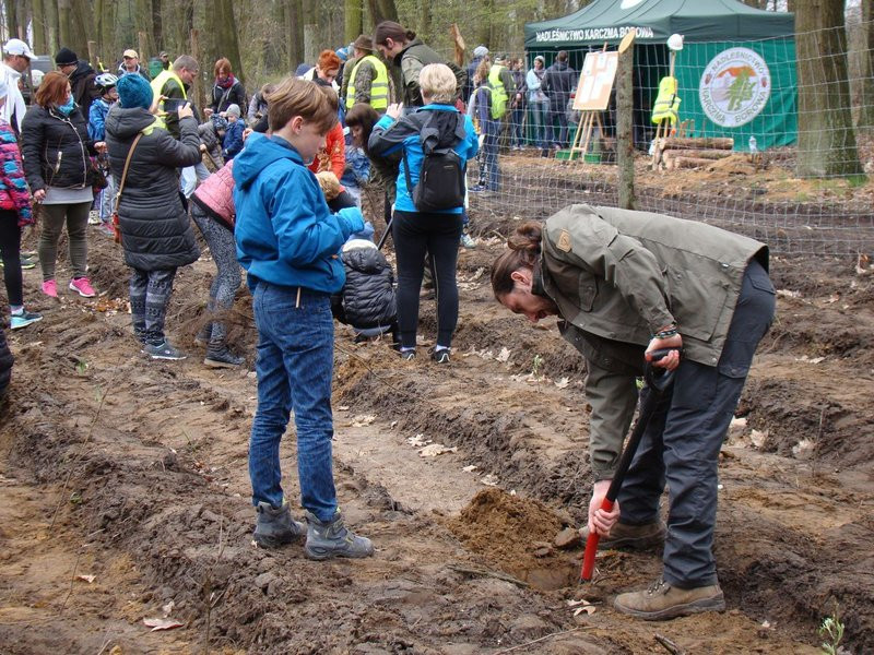 Wielkie sadzenie lasu (zdjęcia)