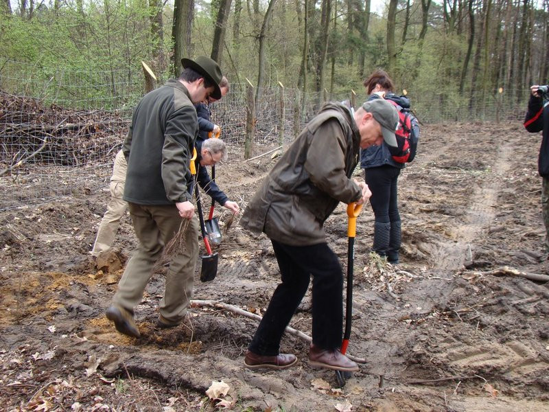 Wielkie sadzenie lasu (zdjęcia)