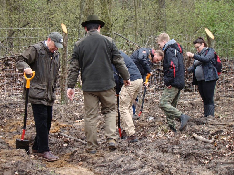 Wielkie sadzenie lasu (zdjęcia)