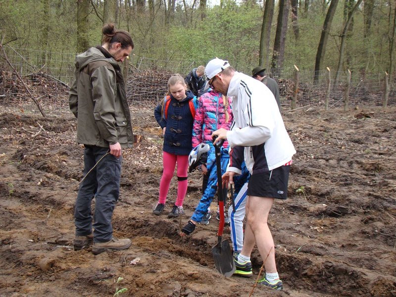 Wielkie sadzenie lasu (zdjęcia)