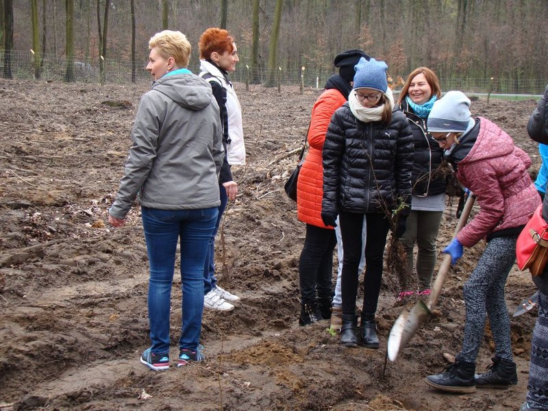Wielkie sadzenie lasu (zdjęcia)