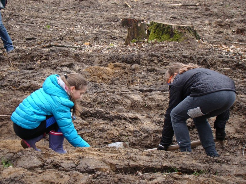 Wielkie sadzenie lasu (zdjęcia)