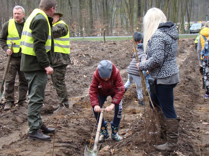Wielkie sadzenie lasu (zdjęcia)