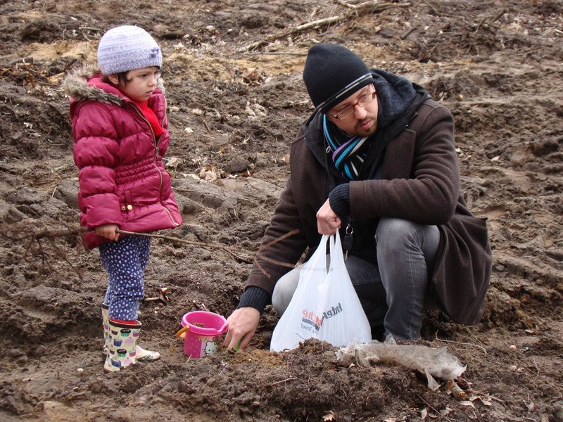 Wielkie sadzenie lasu (zdjęcia)