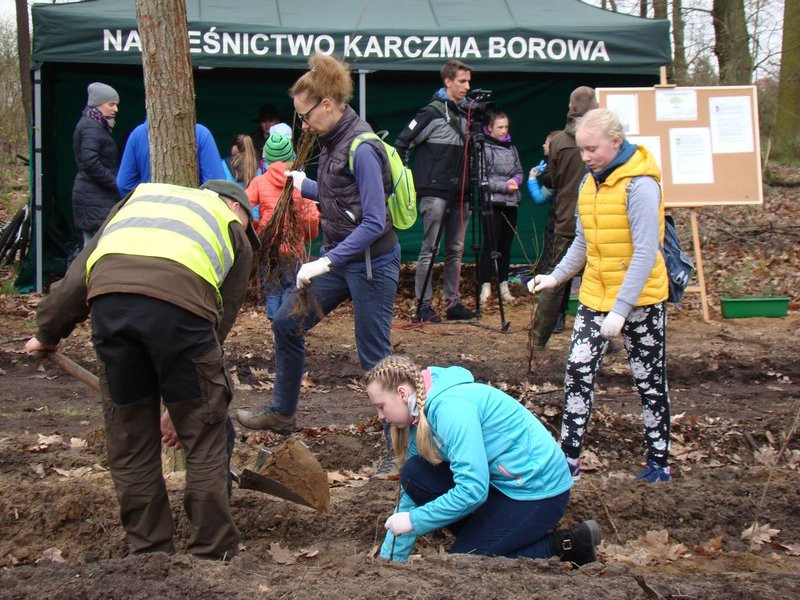 Wielkie sadzenie lasu (zdjęcia)