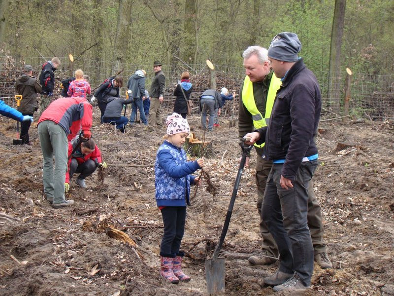 Wielkie sadzenie lasu (zdjęcia)