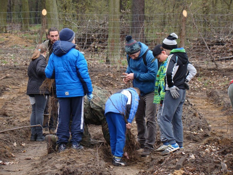 Wielkie sadzenie lasu (zdjęcia)
