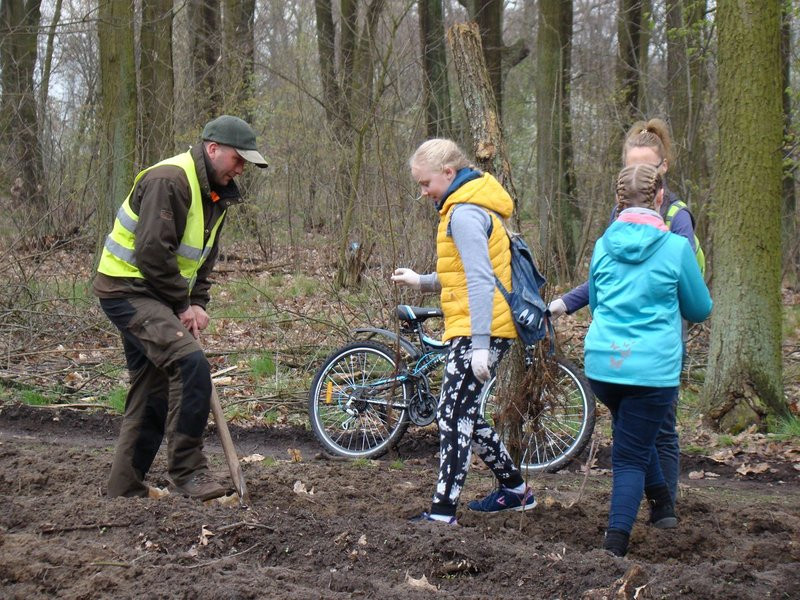 Wielkie sadzenie lasu (zdjęcia)