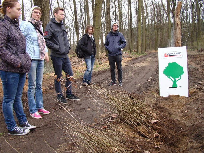 Wielkie sadzenie lasu (zdjęcia)