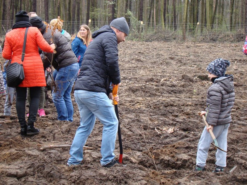 Wielkie sadzenie lasu (zdjęcia)