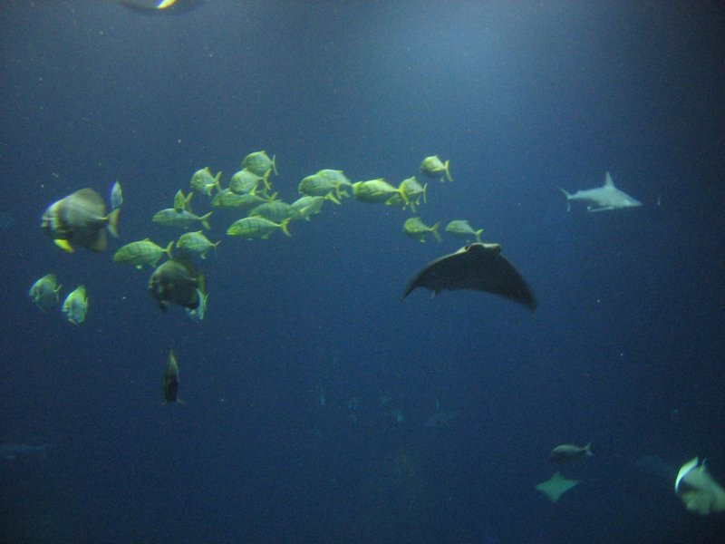 Mini-ZOO stawia na edukację (zdjęcia)