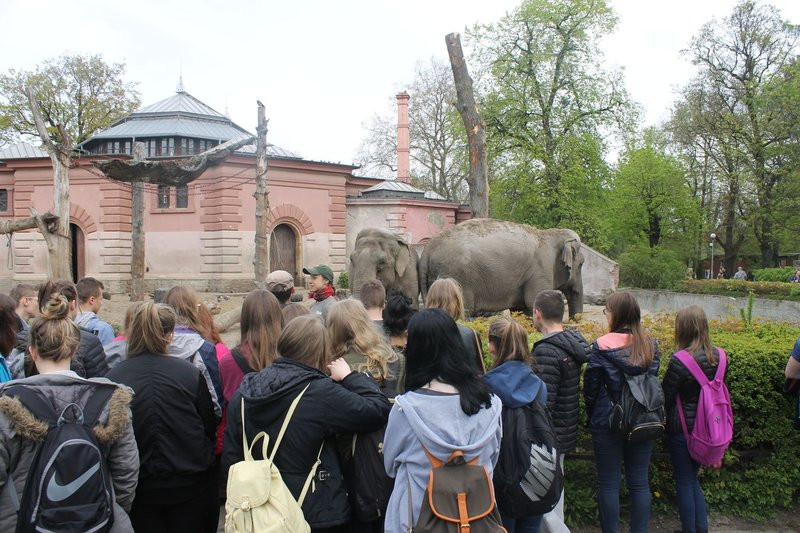 Mini-ZOO stawia na edukację (zdjęcia)