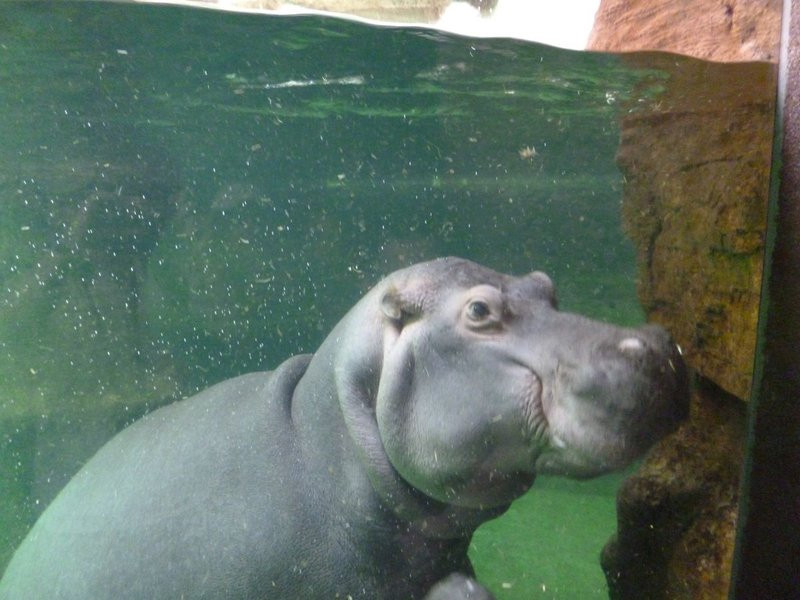 Mini-ZOO stawia na edukację (zdjęcia)