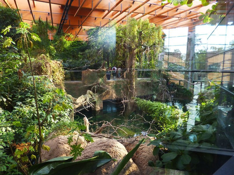 Mini-ZOO stawia na edukację (zdjęcia)