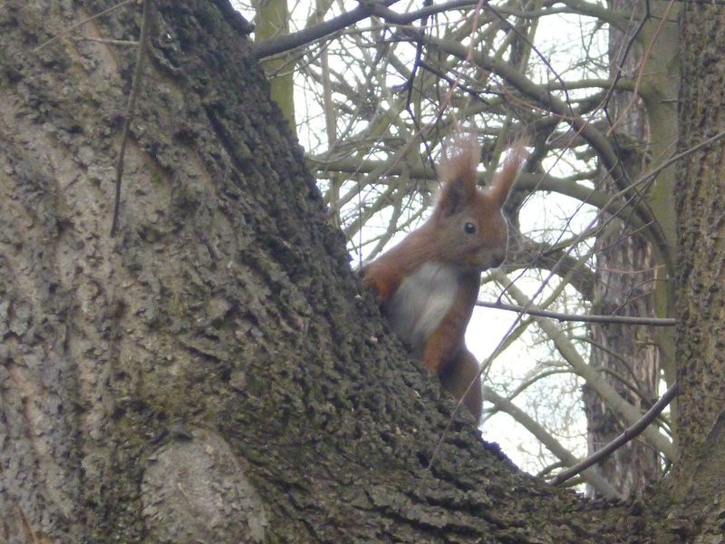 Mini-ZOO stawia na edukację (zdjęcia)