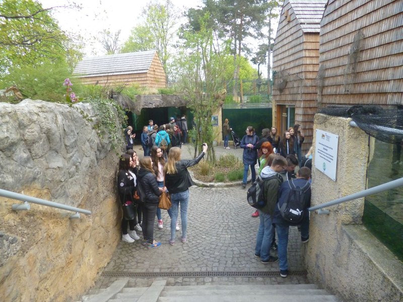 Mini-ZOO stawia na edukację (zdjęcia)