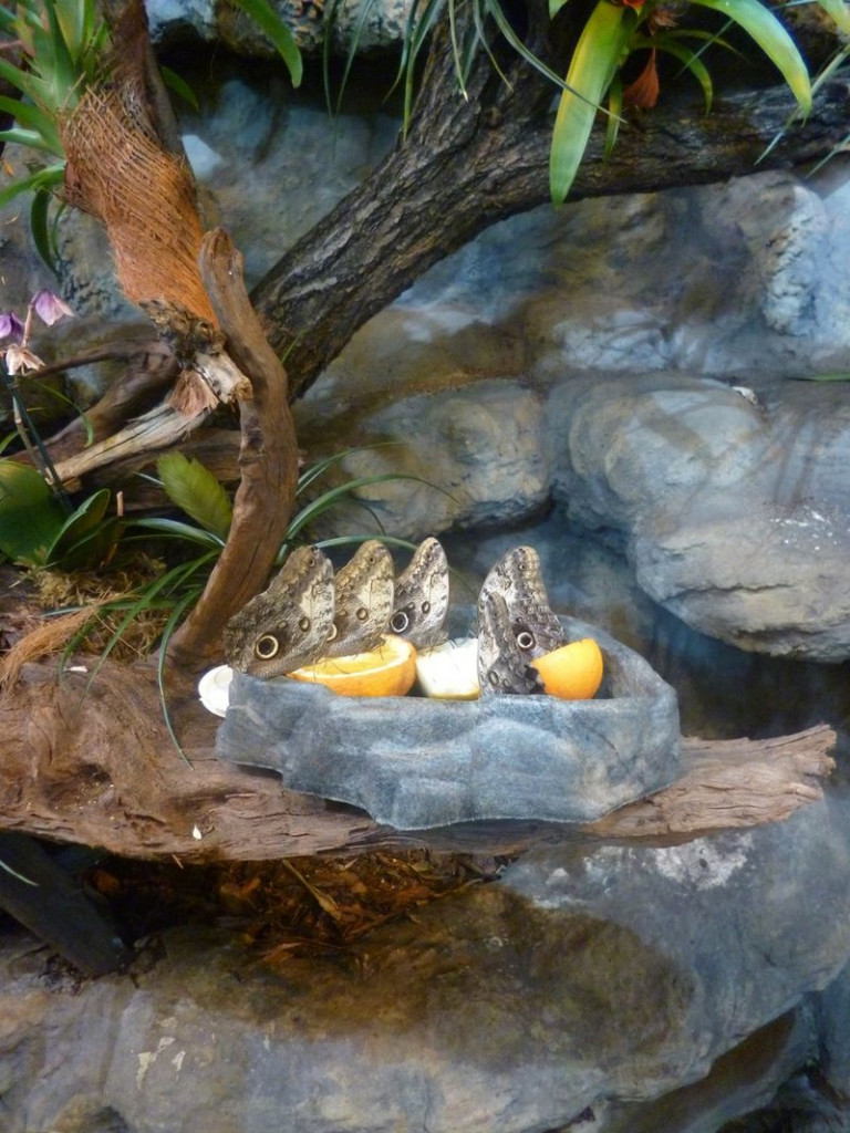 Mini-ZOO stawia na edukację (zdjęcia)