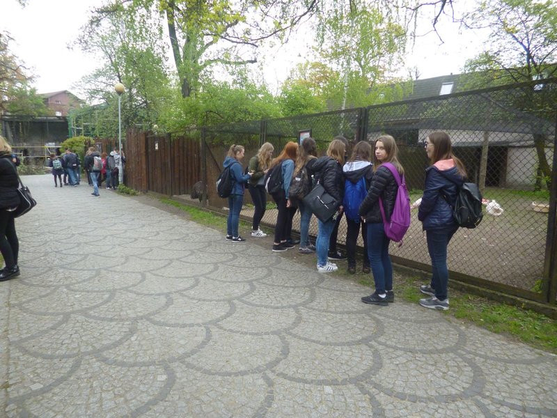 Mini-ZOO stawia na edukację (zdjęcia)