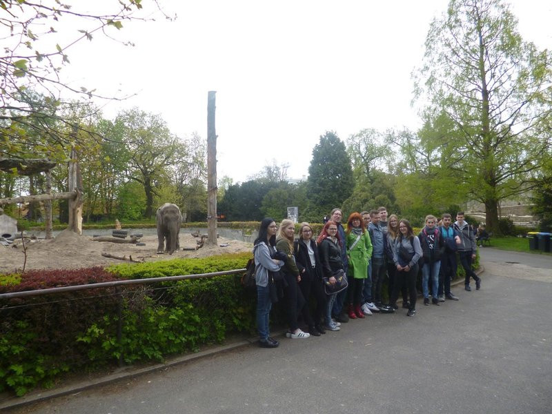 Mini-ZOO stawia na edukację (zdjęcia)