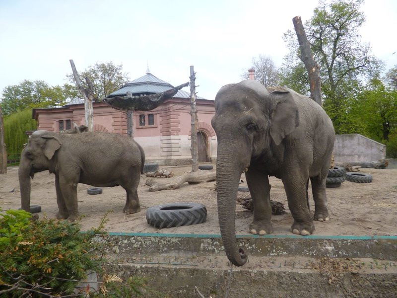 Mini-ZOO stawia na edukację (zdjęcia)