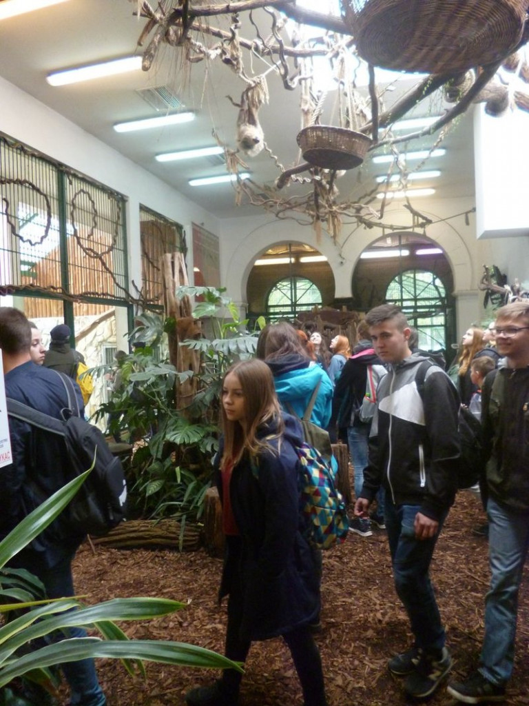 Mini-ZOO stawia na edukację (zdjęcia)