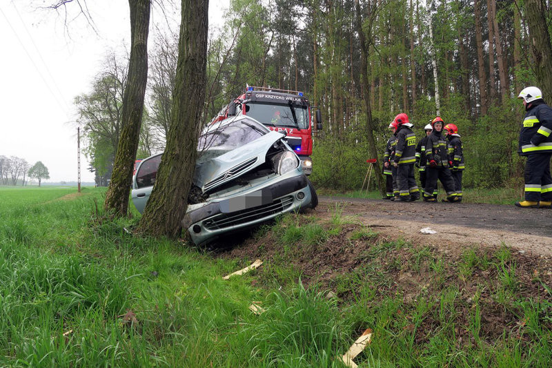 Niemowlę bez obrażeń (zdjęcia)