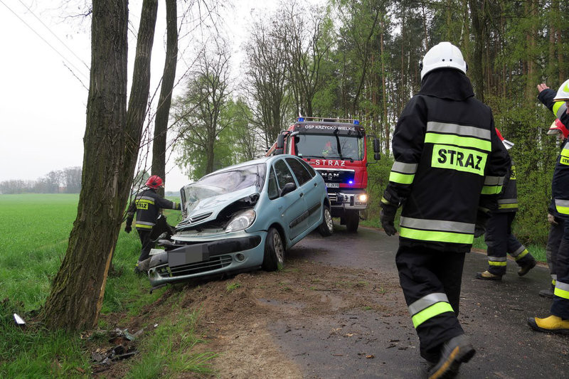 Niemowlę bez obrażeń (zdjęcia)