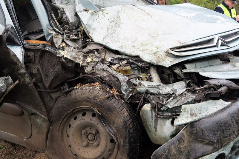 Niemowlę bez obrażeń (zdjęcia)