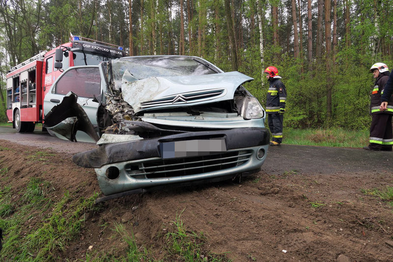 Niemowlę bez obrażeń (zdjęcia)