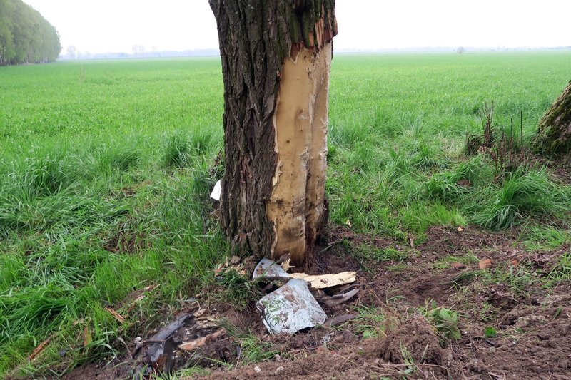 Niemowlę bez obrażeń (zdjęcia)