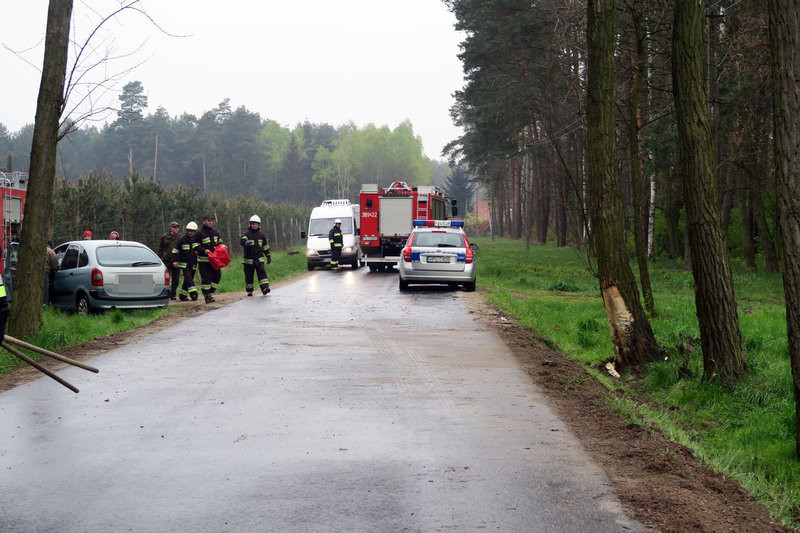 Niemowlę bez obrażeń (zdjęcia)