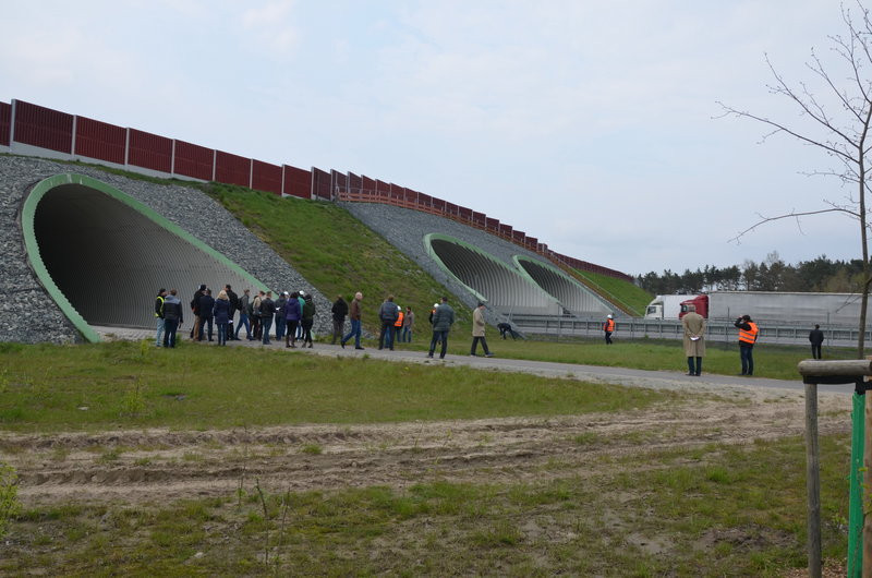 Inżynierowie z 18 państw w Rydzynie