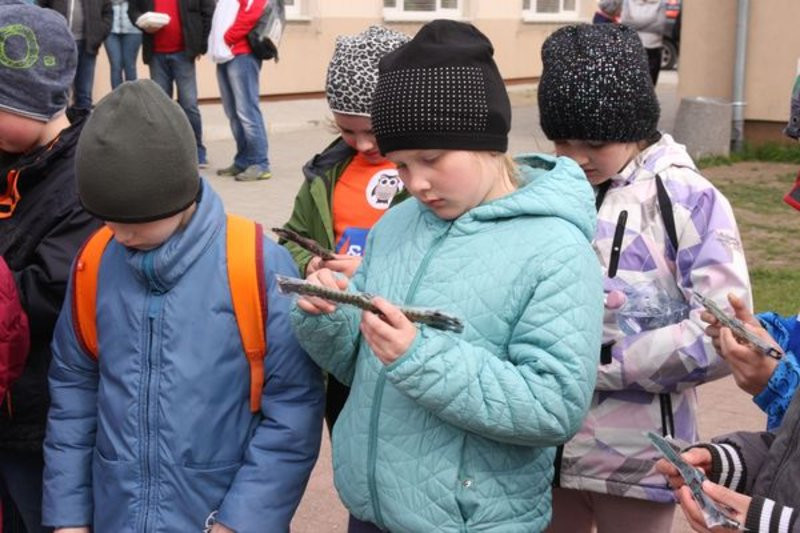 Bezpieczeństwo w roli głównej (zdjęcia)