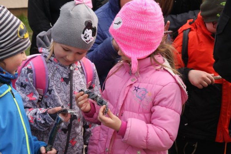 Bezpieczeństwo w roli głównej (zdjęcia)