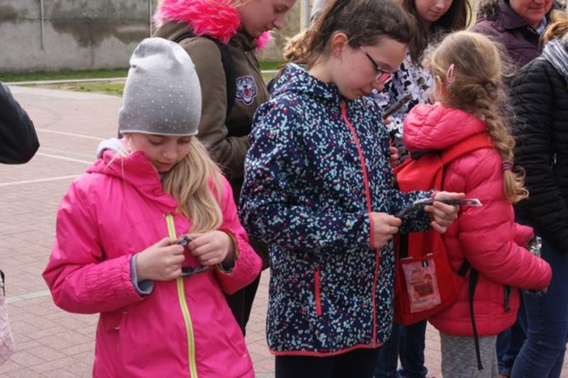 Bezpieczeństwo w roli głównej (zdjęcia)