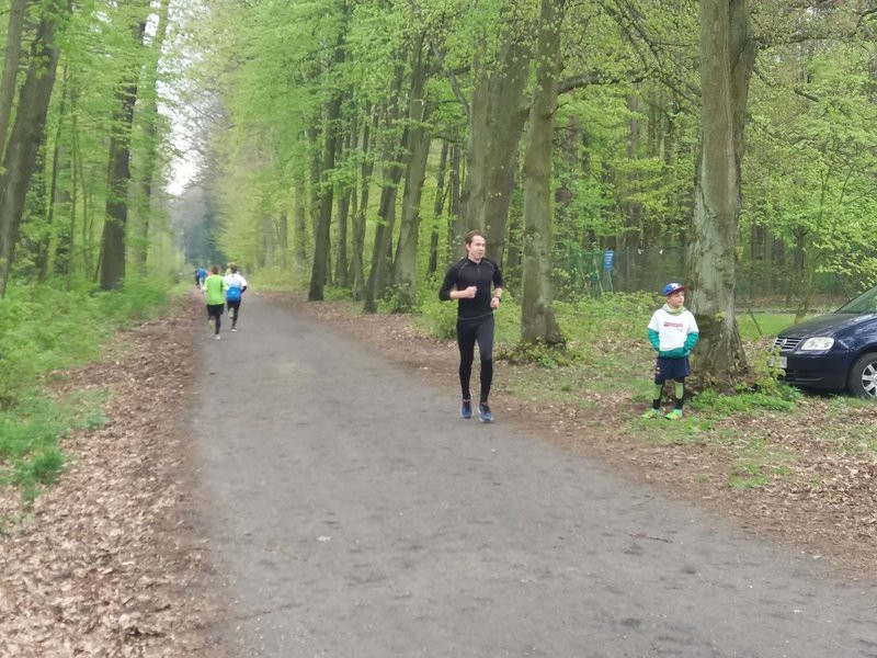 Biegli i szli promując transplantację (zdjęcia)