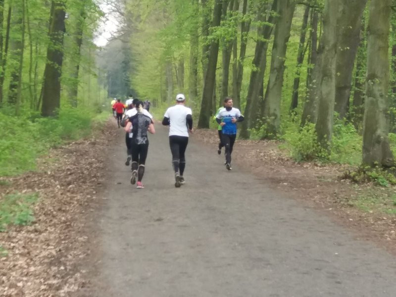 Biegli i szli promując transplantację (zdjęcia)