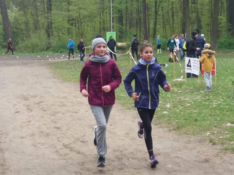 Biegli i szli promując transplantację (zdjęcia)