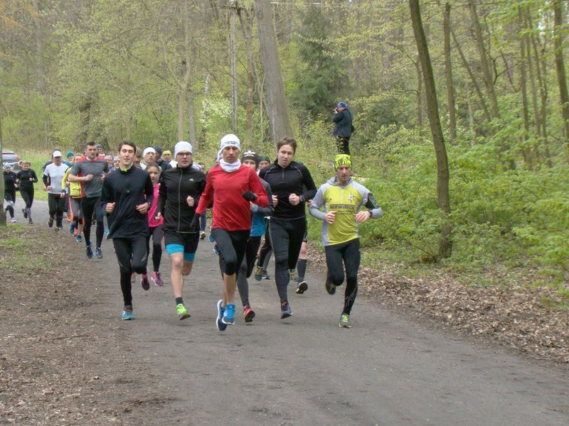 Biegli i szli promując transplantację (zdjęcia)