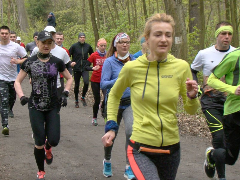 Biegli i szli promując transplantację (zdjęcia)