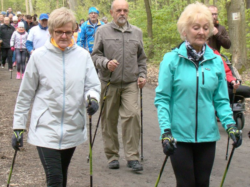Biegli i szli promując transplantację (zdjęcia)