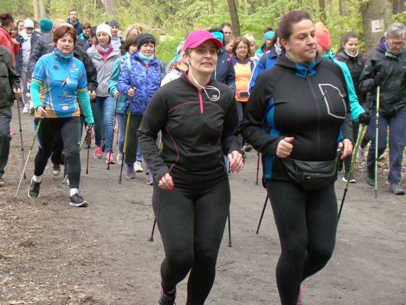 Biegli i szli promując transplantację (zdjęcia)