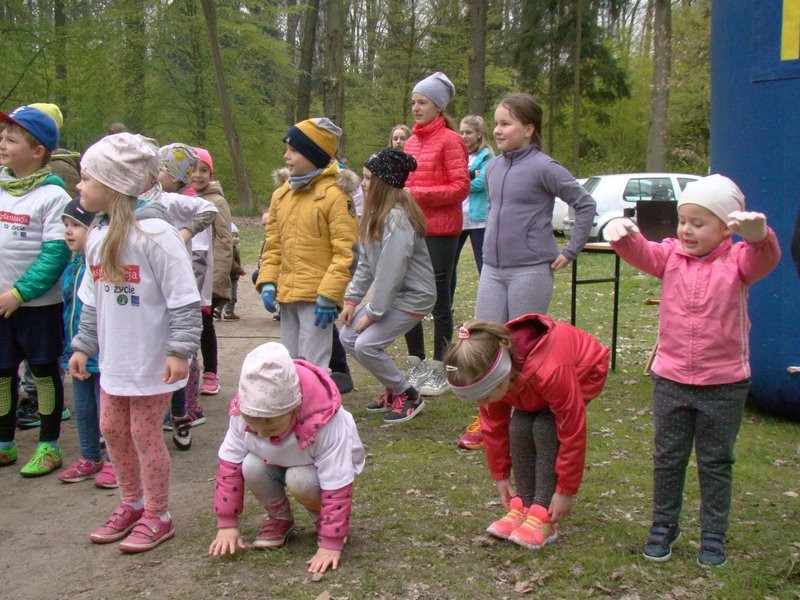 Biegli i szli promując transplantację (zdjęcia)