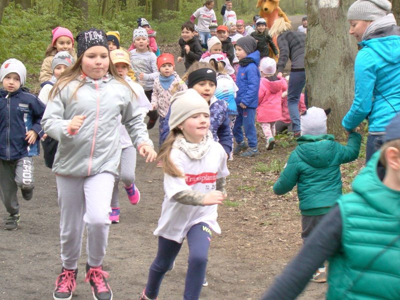 Biegli i szli promując transplantację (zdjęcia)