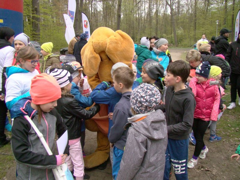 Biegli i szli promując transplantację (zdjęcia)
