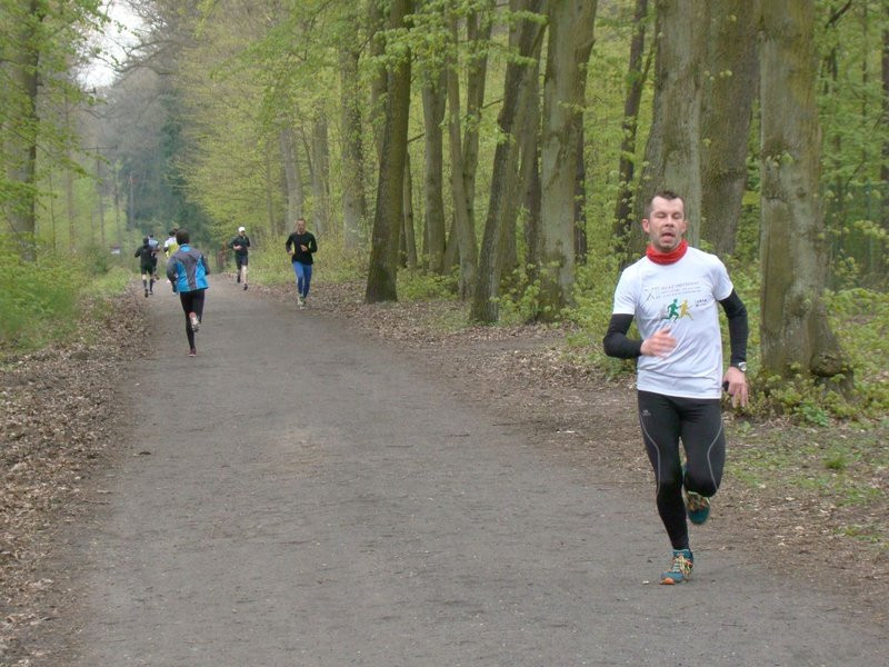 Biegli i szli promując transplantację (zdjęcia)