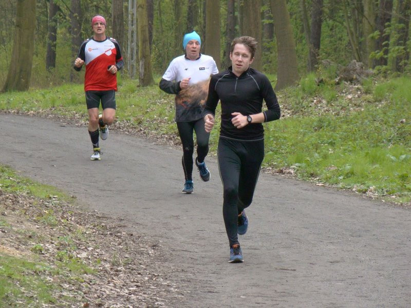 Biegli i szli promując transplantację (zdjęcia)