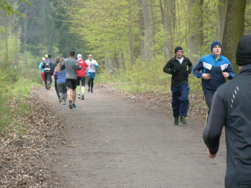 Biegli i szli promując transplantację (zdjęcia)